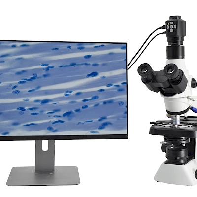 DM350-C and its Microscope