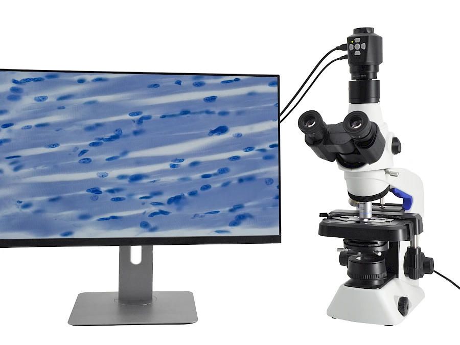 DM350-C and its Microscope