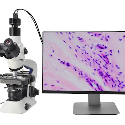DM210 and its Biological Microscope + Display