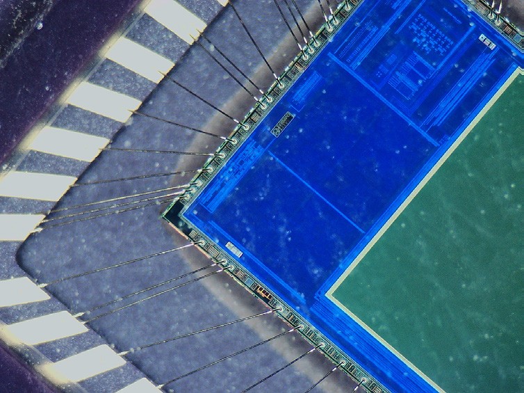 Camera image