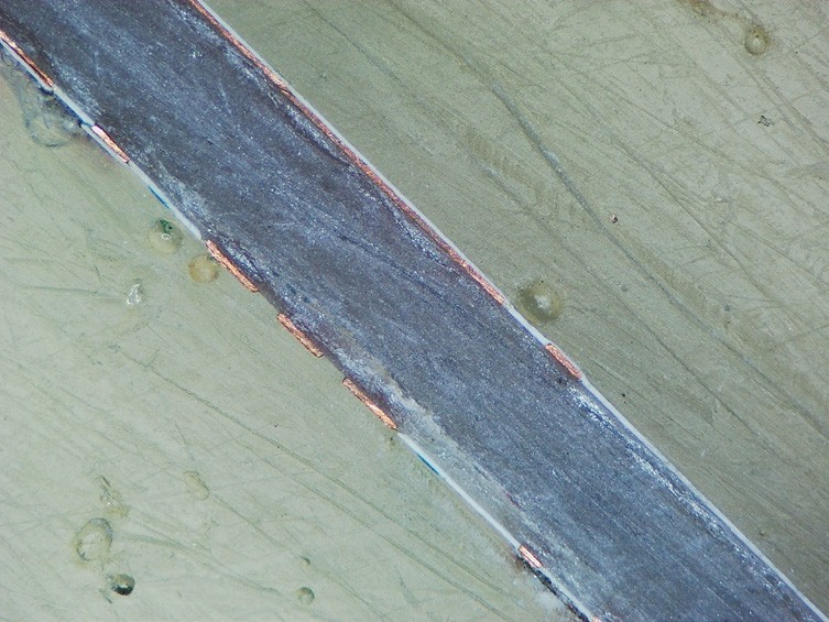 Camera image