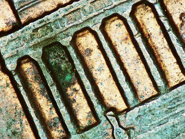 Camera image