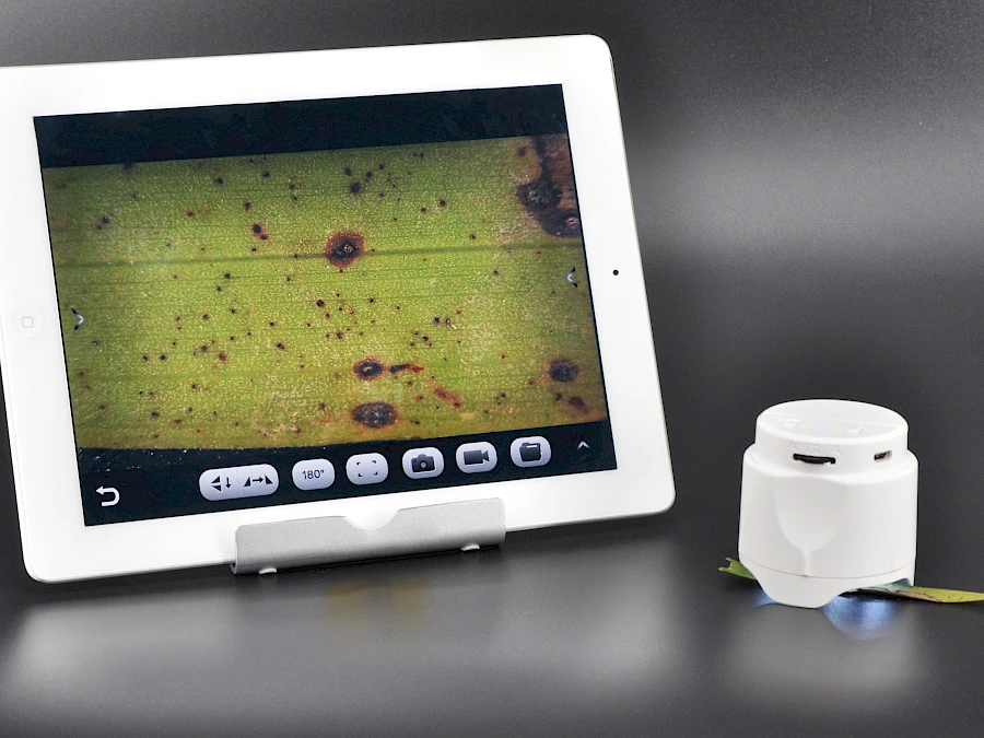 W5 and its Mac