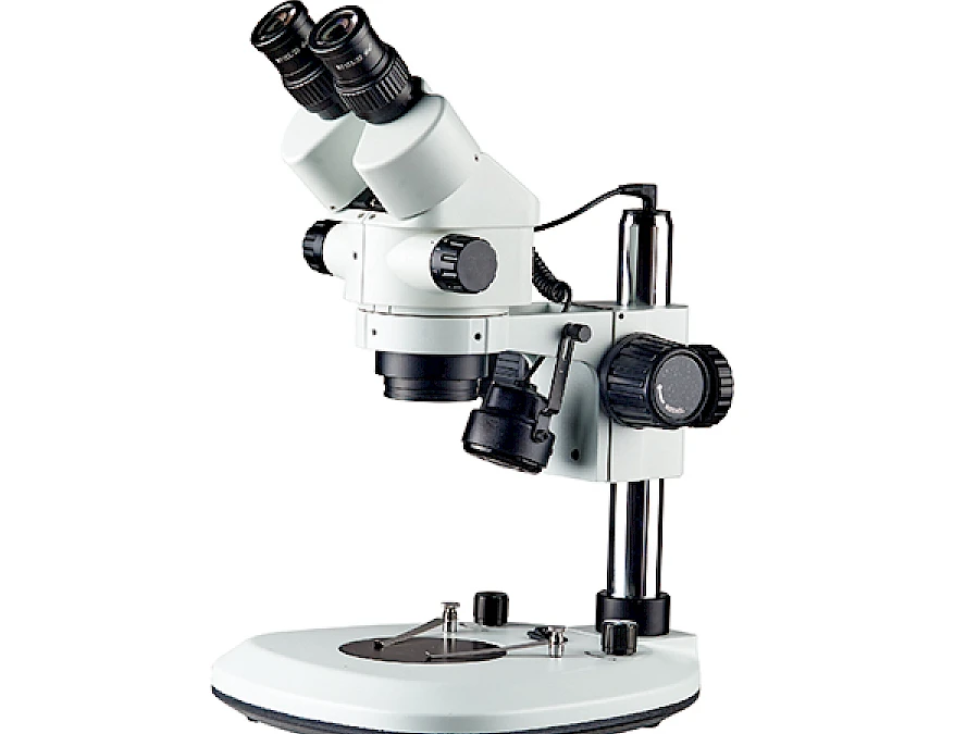 BZW7045N-PF2L