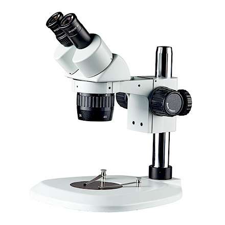 BD6024-PF