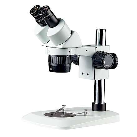 BD6024-PI