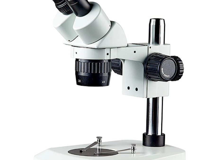 BD6024-PI
