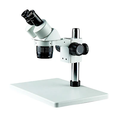 BD6024-PL