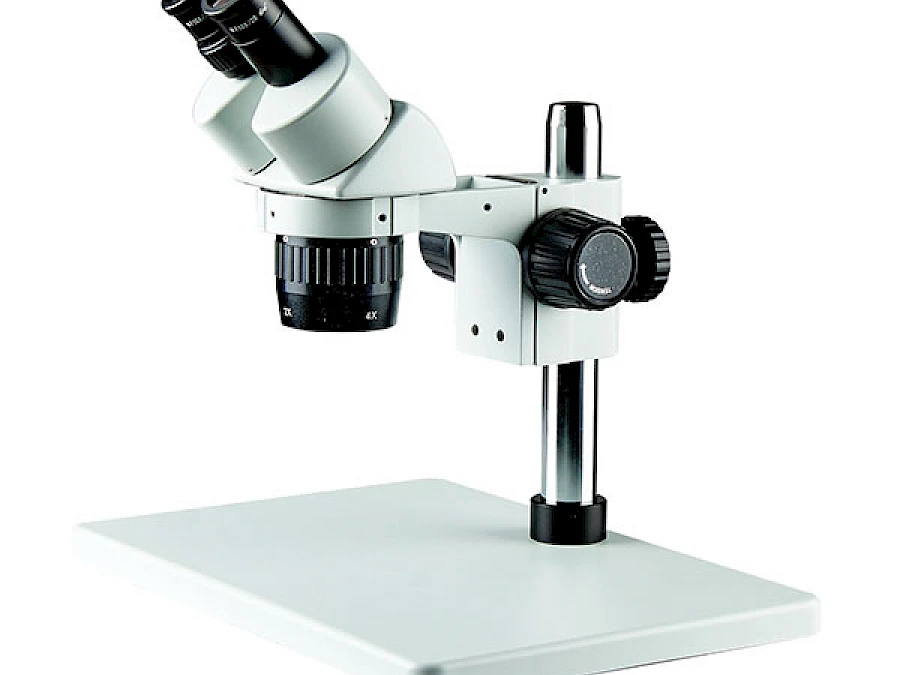 BD6024-PL