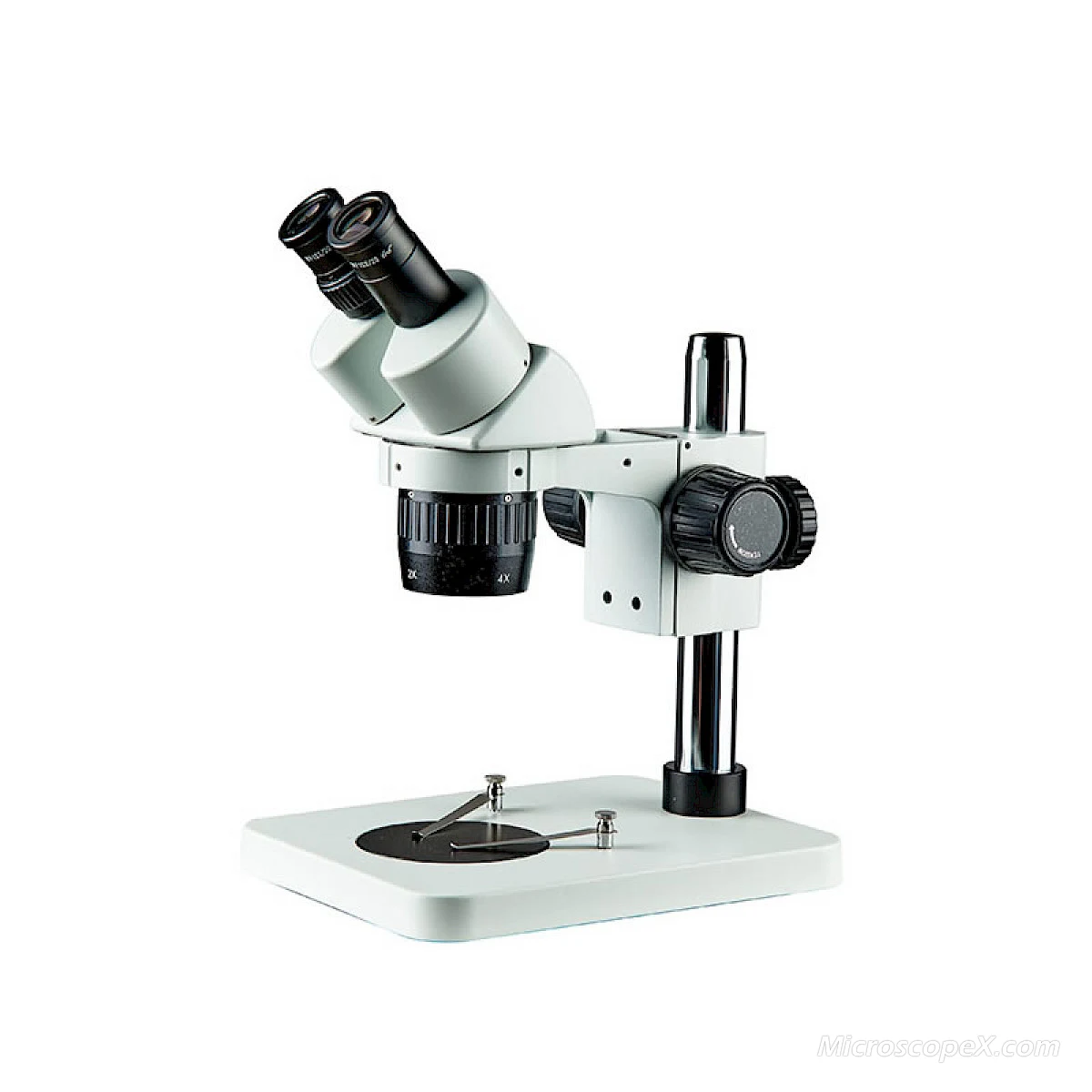 BD6024-PS