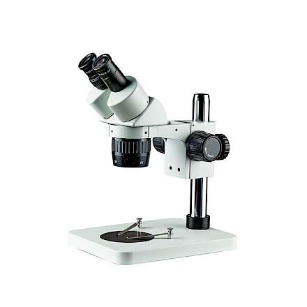 BD6024-PS