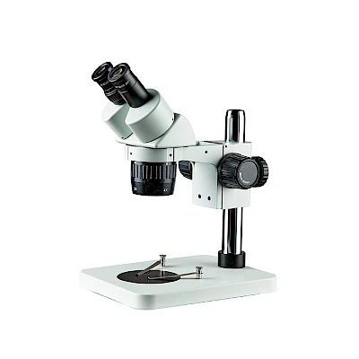 BD6024-PS