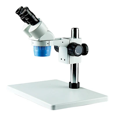 BD6024C-PL