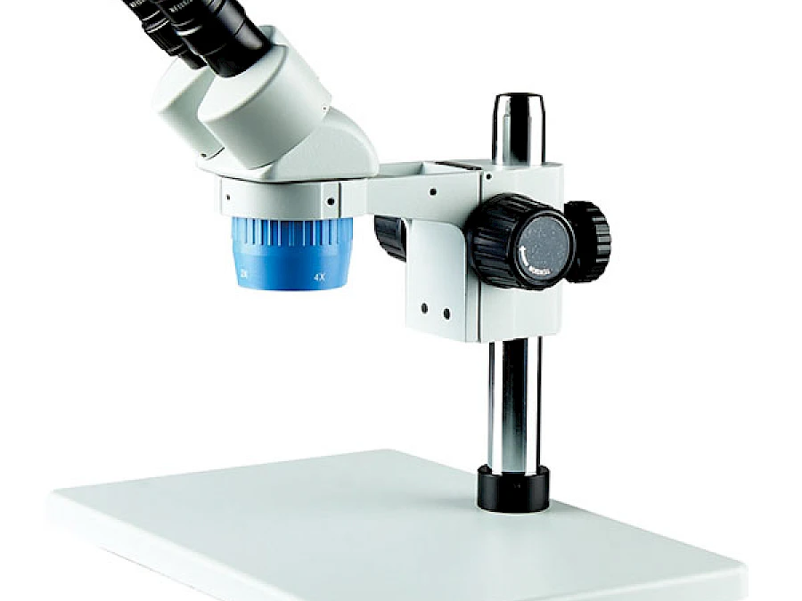 BD6024C-PL