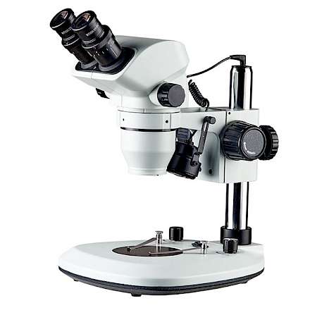 BD7024-PF2L