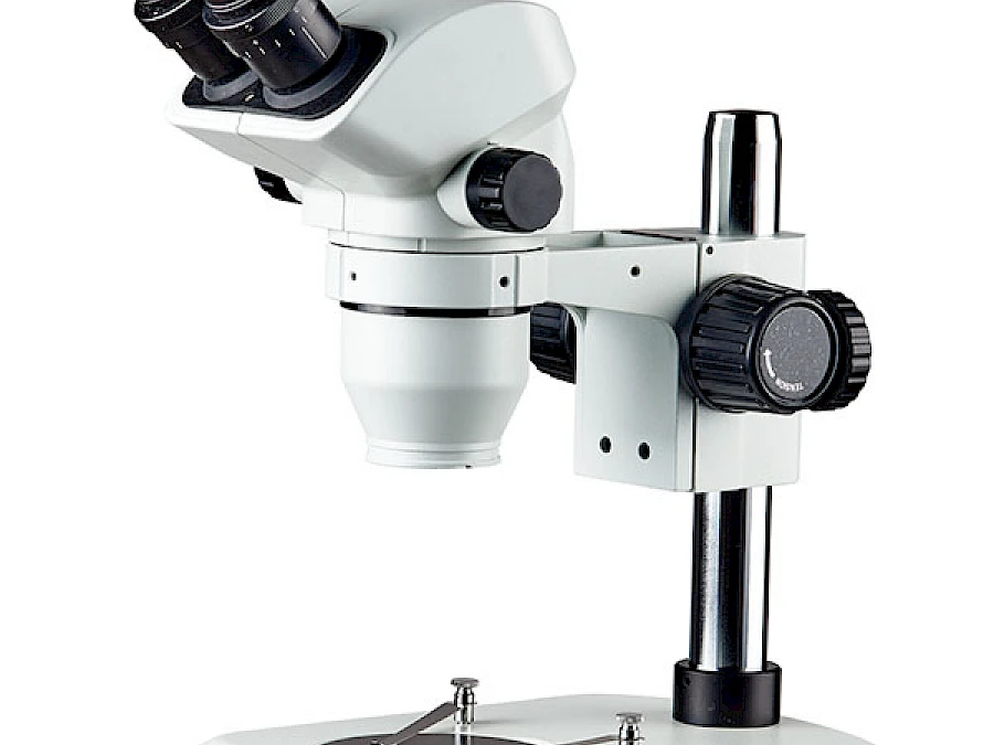 BD7024-PI