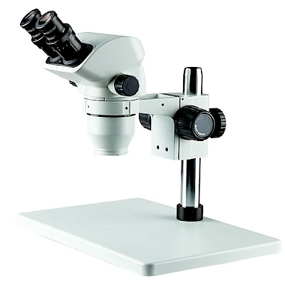 BD7024-PL