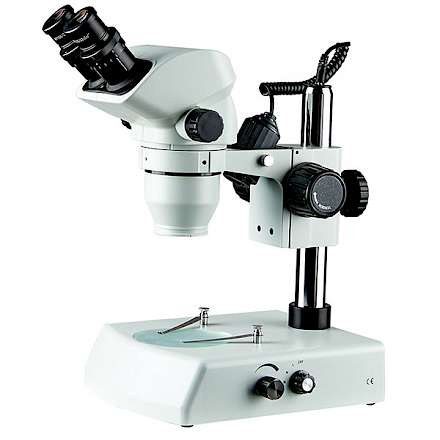 BD7024-PRT