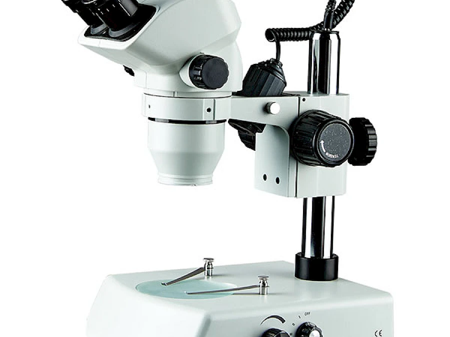 BD7024-PRT