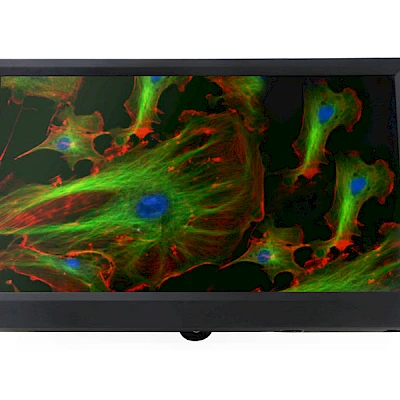 Front View of TPHD1080PA