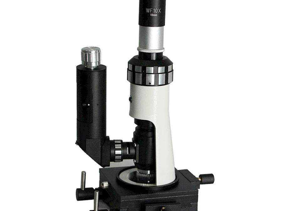 BJ-X