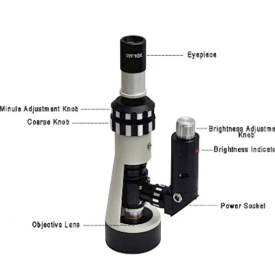 The structure of BJ-X