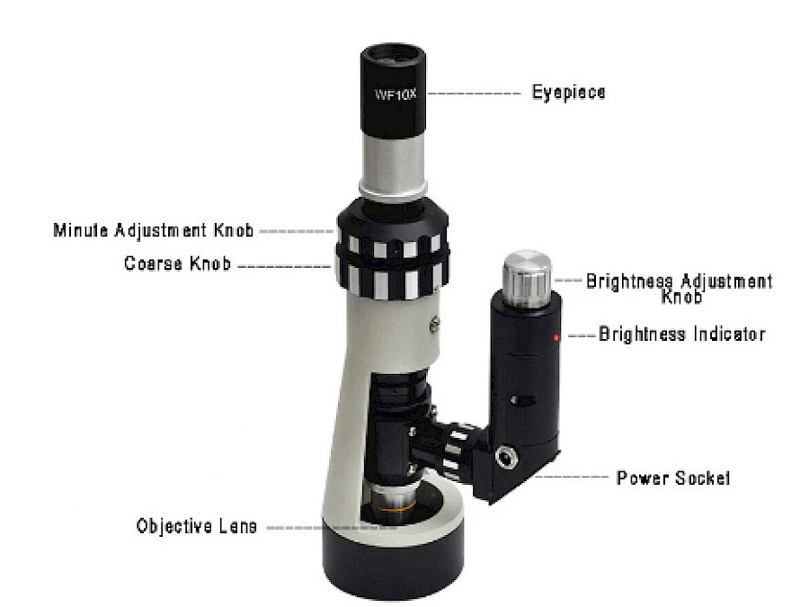 The structure of BJ-X