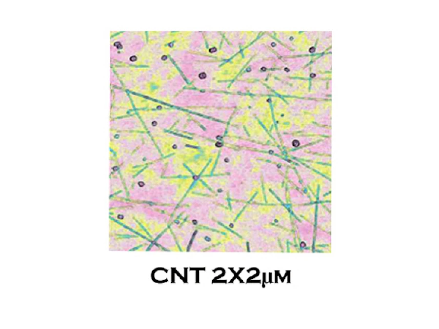 CNT