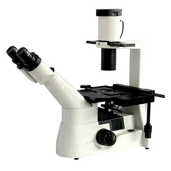 BLD-20 & BLD-20T WF10X/ 22mm Binocular Inverted Biological Microscope
