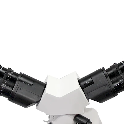 The Head of BLM-24 &amp; BLM-24L