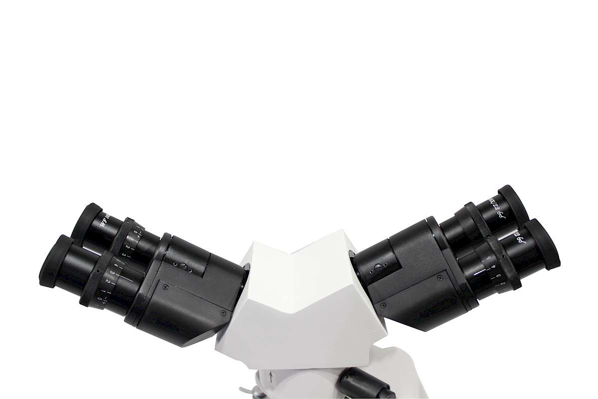 The Head of BLM-24 &amp; BLM-24L