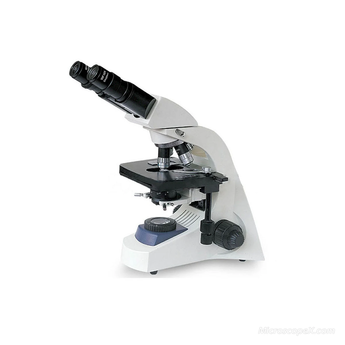 BL-181