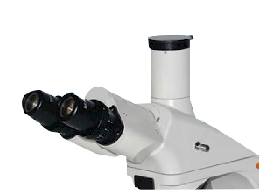 Head of BL-180T