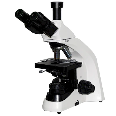 BL-3525T