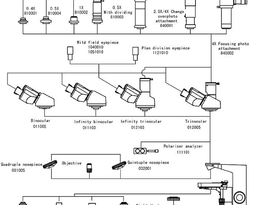 Diagram of BL-161A &amp; BL-161B