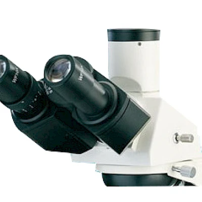 Head of BL-161A &amp; BL-161B
