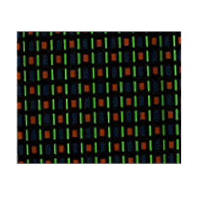 Bright Typr Observe