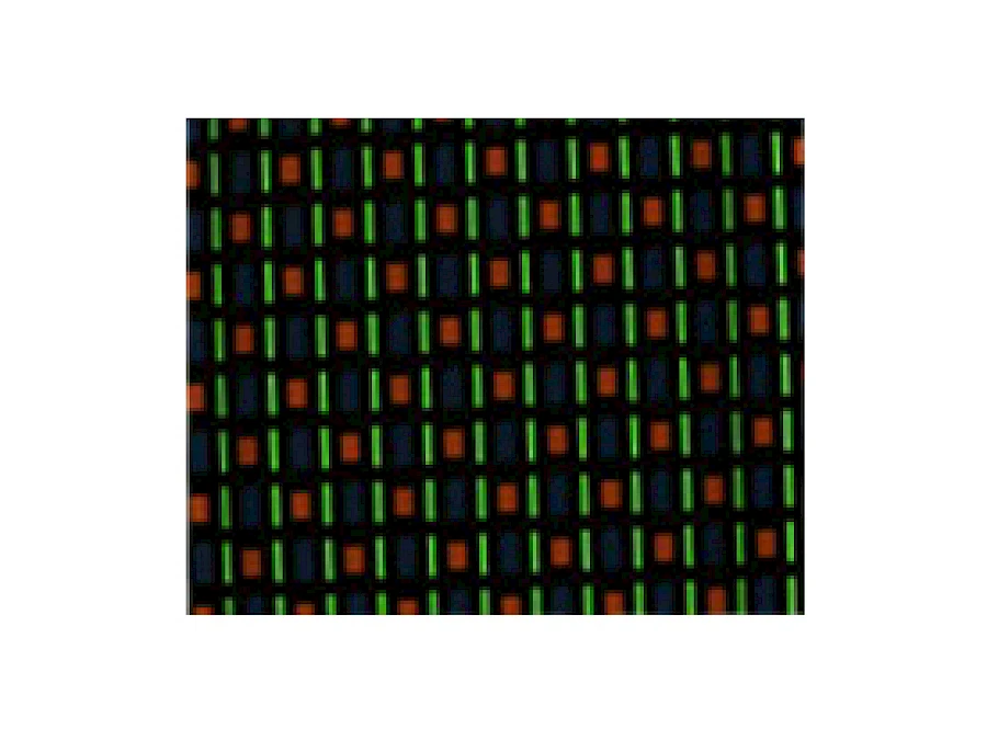 Bright Type Observe