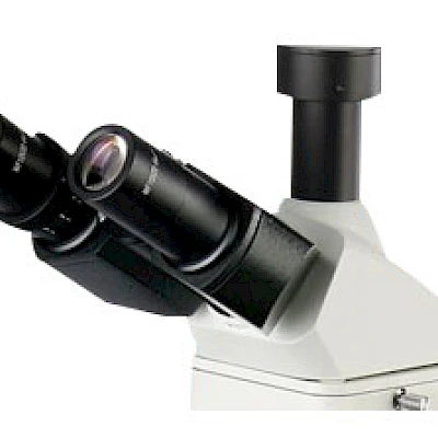 Head of VM4800DIC