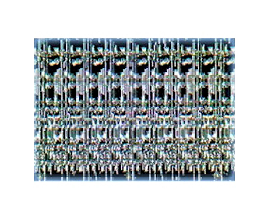 Bright Type Observe