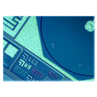 Bright Type Observe