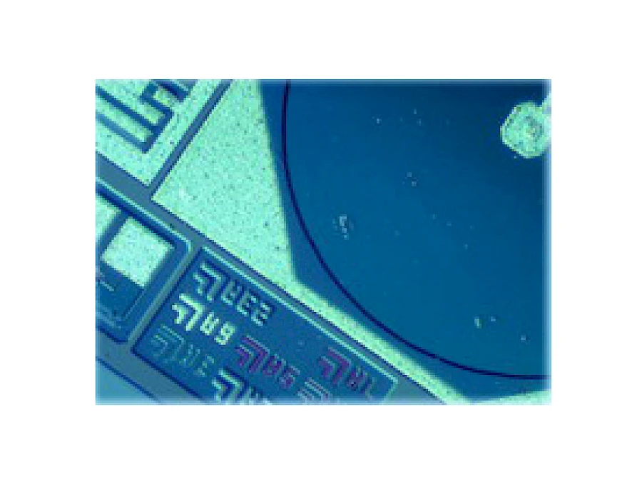 Bright Type Observe
