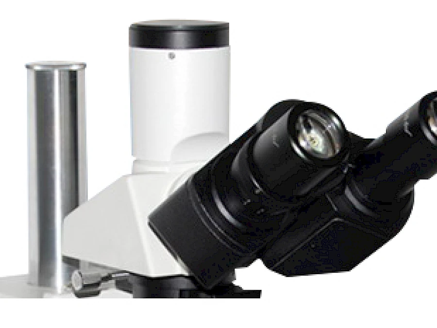 Head of VM5500