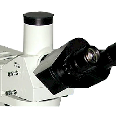 Head of VM4550