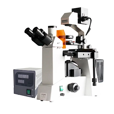VMF200I Fluorescent Microscope