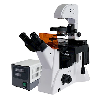 VMF400I Fluorescent Microscope