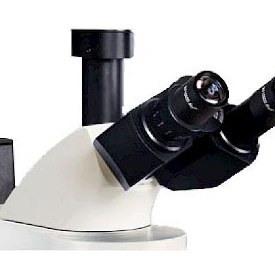 Head of VMF30A