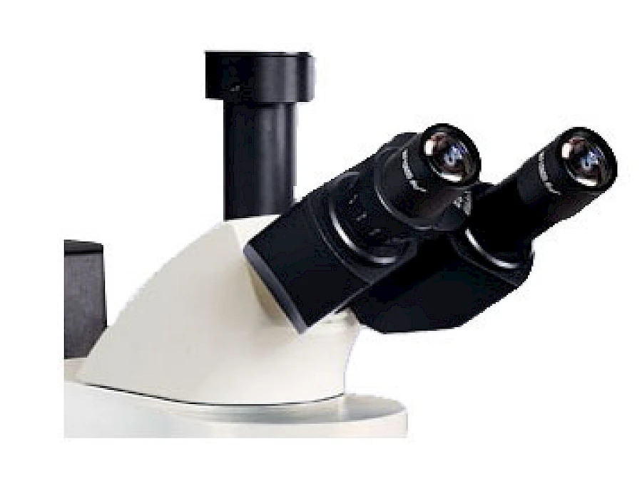 Head of VMF30A