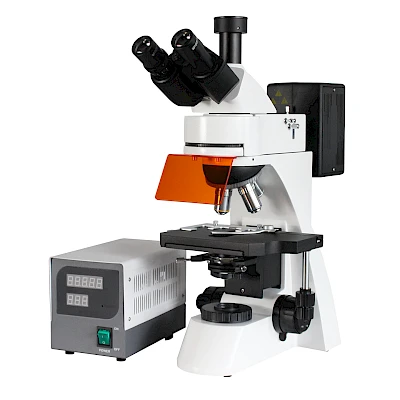 VMF30A Fluorescent Microscope