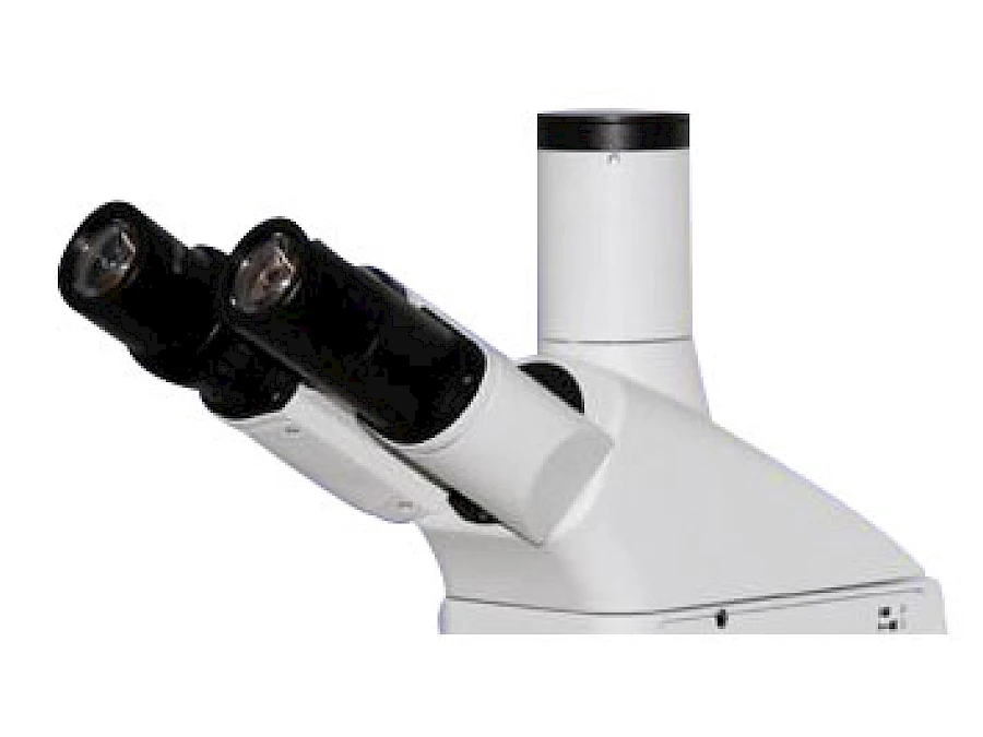 Head of VMF180I
